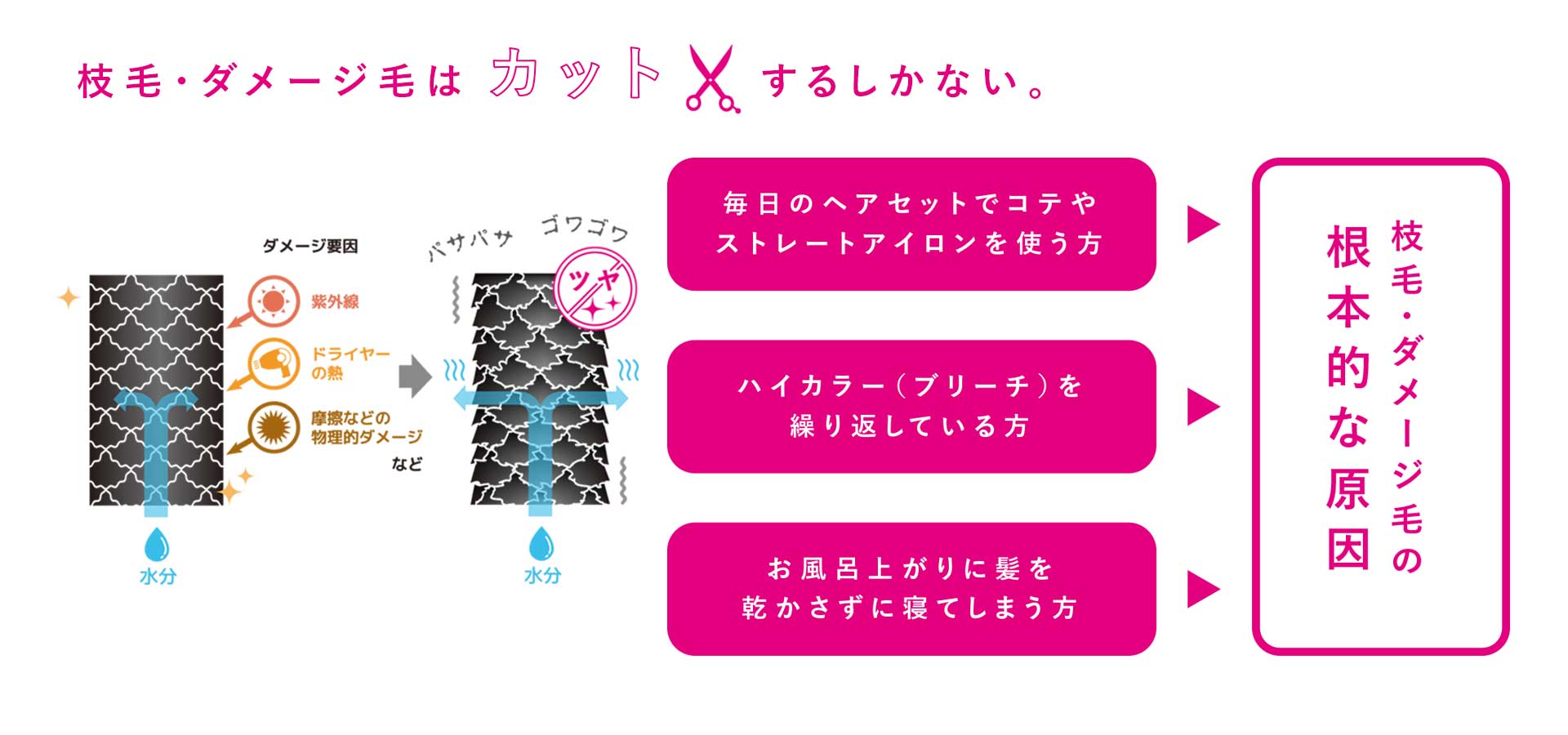 Split-Ender Mini(スプリットエンダー ミニ)|枝毛カット専用機