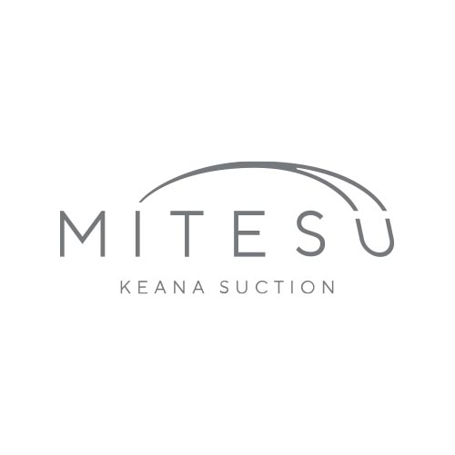 KEANA SUCTION MITESU(PAiTNV ~eX