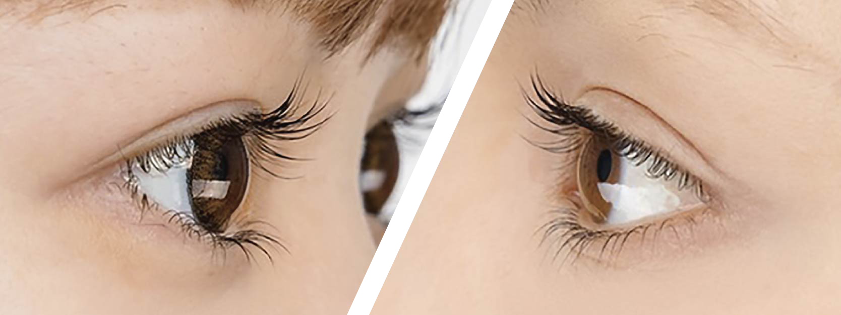 Monter Lash Lift (モンテラッシュリフト)
