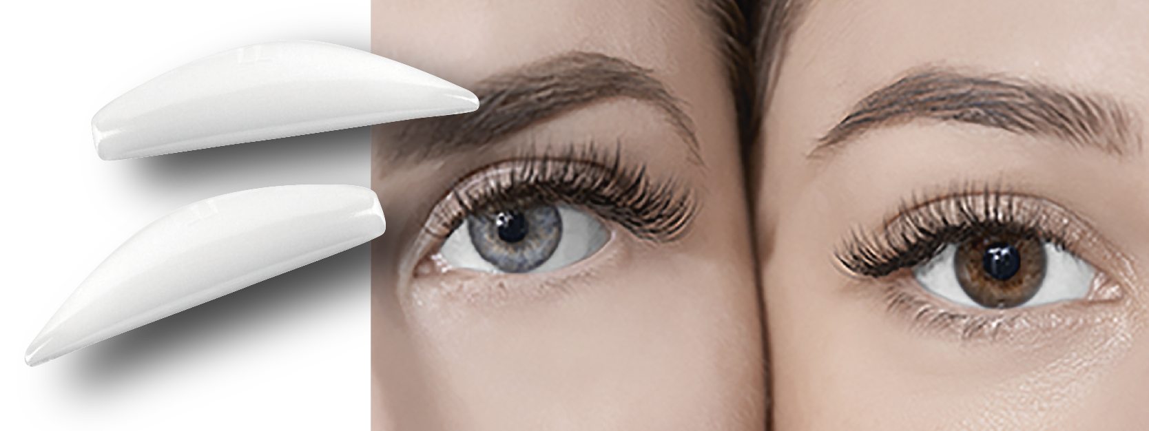 Monter Lash Lift (モンテラッシュリフト)