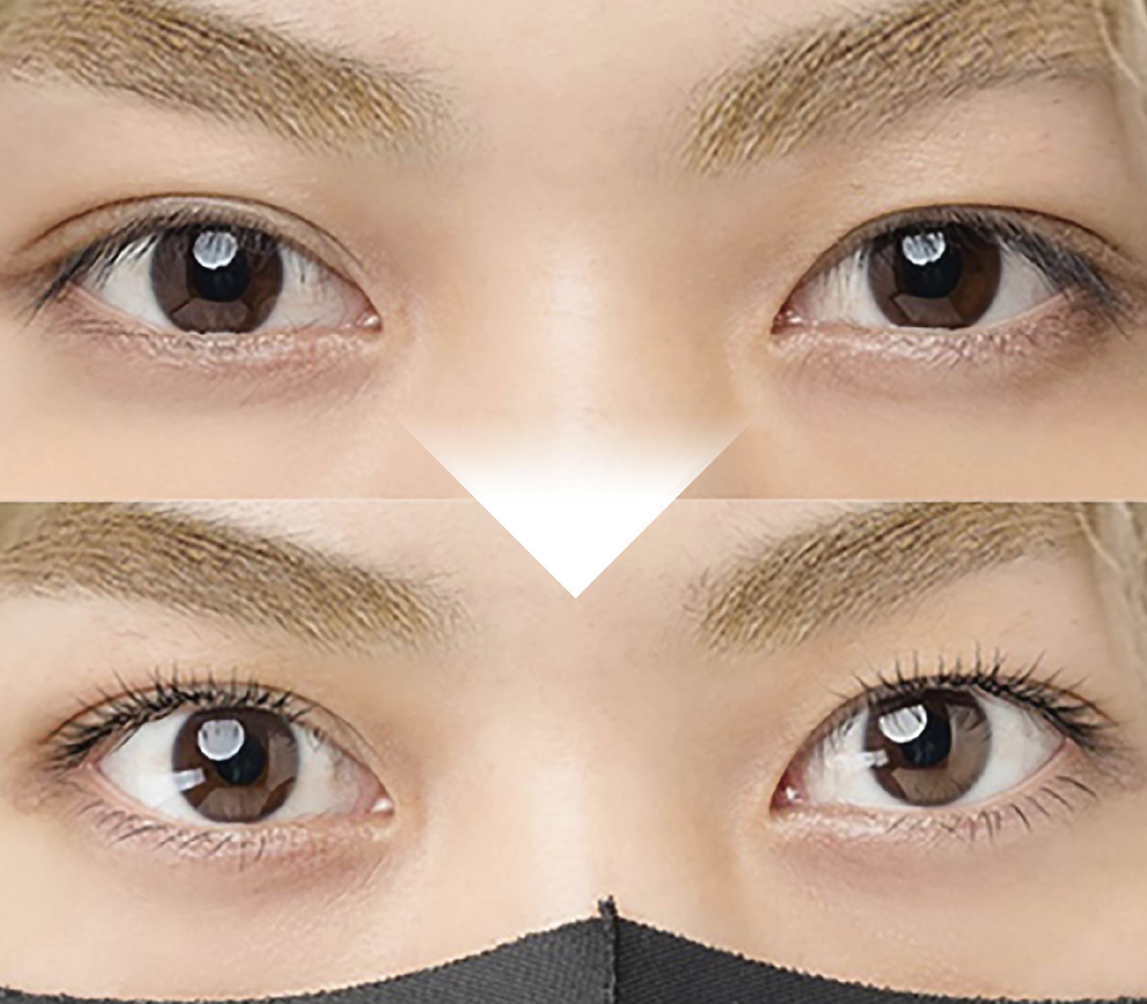Monter Lash Lift (モンテラッシュリフト)