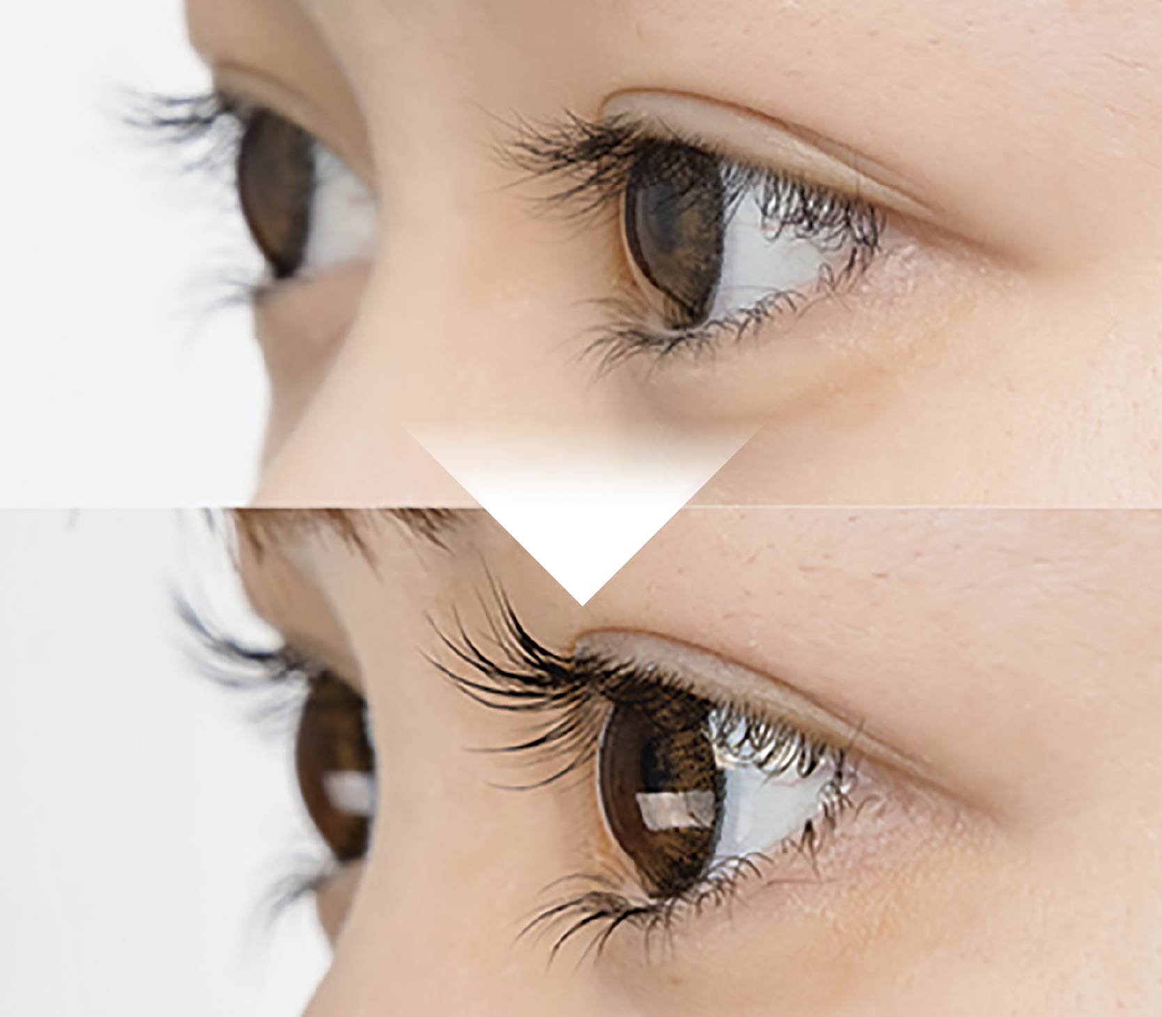 Monter Lash Lift (モンテラッシュリフト)