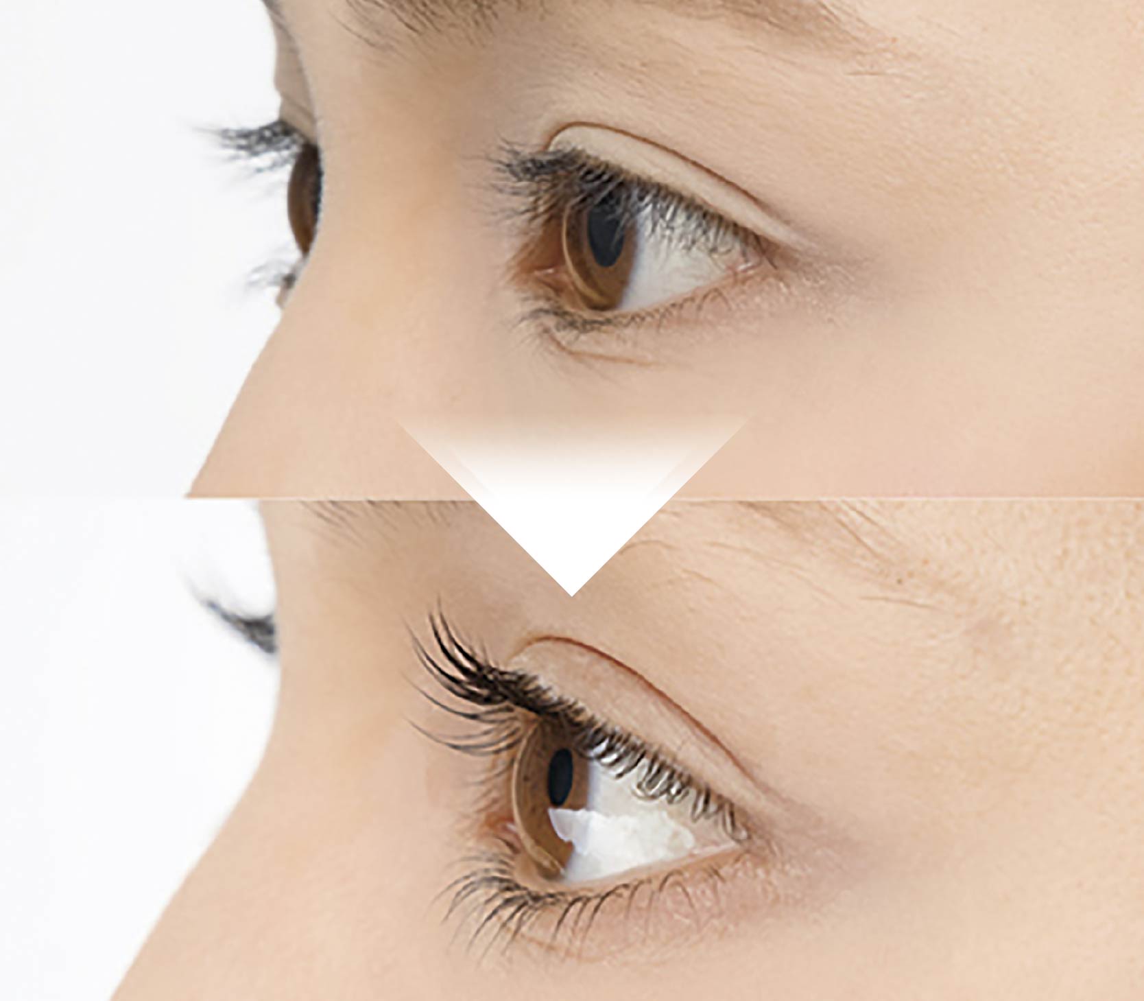 Monter Lash Lift (モンテラッシュリフト)