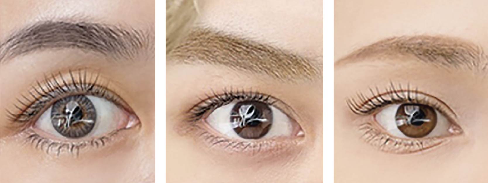 Monter Lash Lift (モンテラッシュリフト)